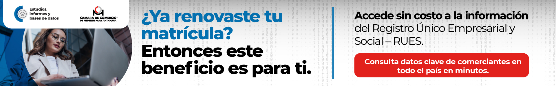 Bases de Datos RUES